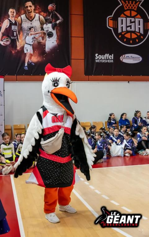 Qualifications Championnat de France 2025 Zone B — photo 11